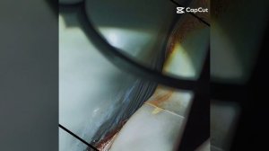 Анонс на антикрную процедуру. #аникор#малярка#ремонтсвоимируками, полицинк#хондасивик#гаражныйремонт