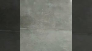 Полировка наливного пола