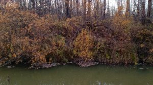 Ловля щуки на малой реке.