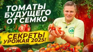 291. НОВЫЕ ТОМАТЫ ОТ СЕМКО_ ЧТО САЖАТЬ В 2025-2026 ГОДУ_  ТЕСТИРУЕМ ЛУЧШИЕ СОРТА!