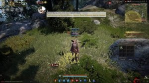Как быстро прокачать охоту в Black Desert