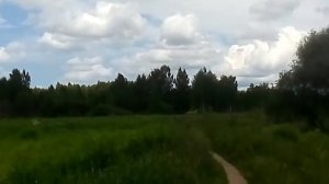 О лете, о ветре, о чайках 🕊️