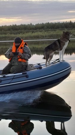 На Волге