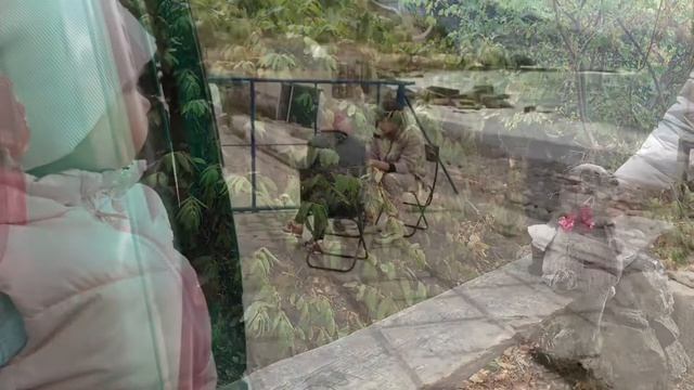 В Крым на машине. Гуляем по Ялте