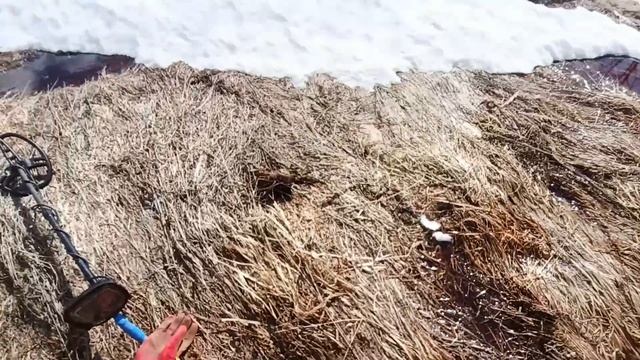 Металлокоп с тх 850...просыпаемся