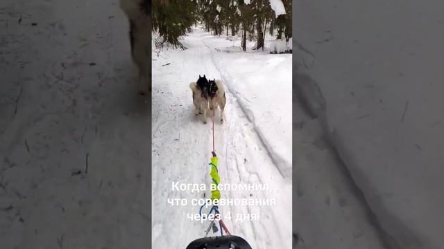 когда вспомнил, что соревнования через 4 дня