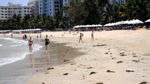 Вьетнам Нячанг погода 8 Апреля 2024 года | Обзор погоды во Вьетнаме сегодня