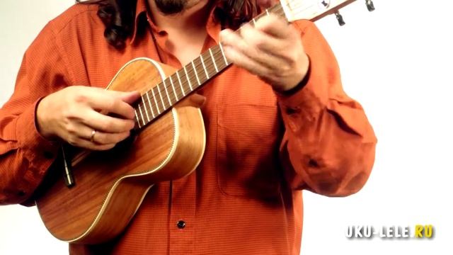 Ukulele Risa TKK Custom Test