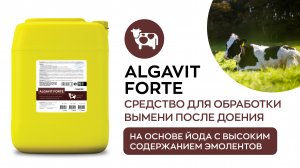 Средство для обработки вымени после доения на йодной основе - Algavit Forte | Vortex