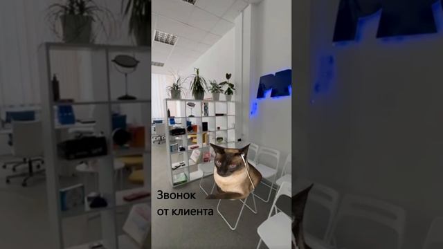 Присоединяемся к тренду #promorepublic #маркетинговоеагентство #рекламабарнаул