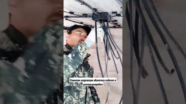 В распредкоробке Промрукав снимаем наружную оболочку с кабеля стриппером EKF WS-14 #игорьэлектрик21