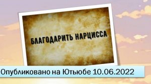 Благодарить нарцисса (10.06.2022)