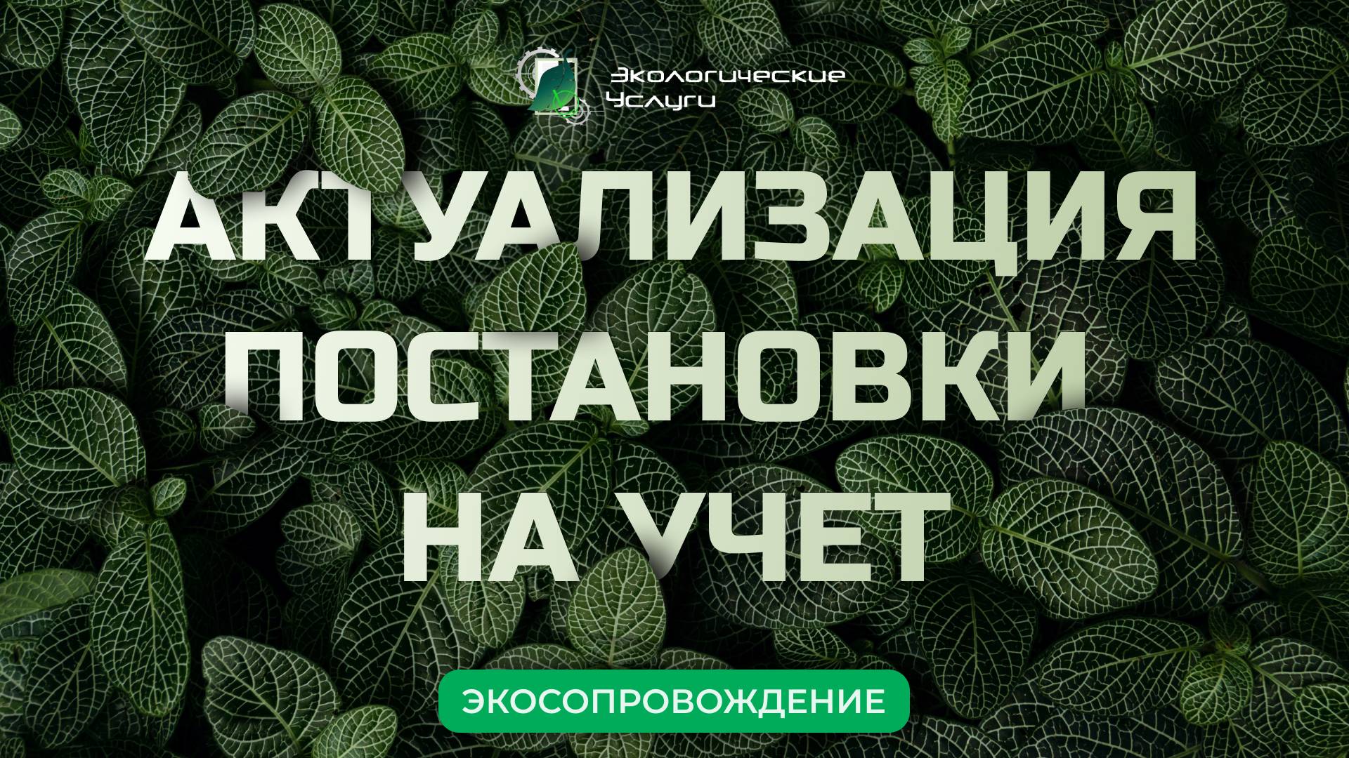 Актуализация постановки на учет