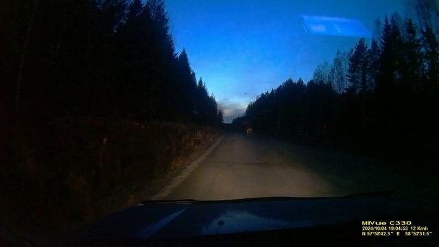Лось