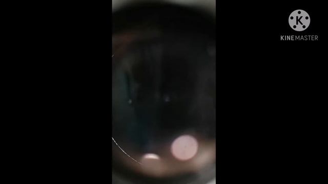 Microscope Nikon Smz-1 Mulus смотреть онлайн