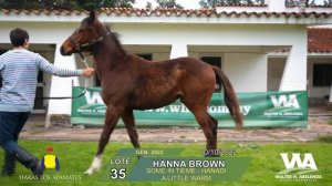 35- HANNA BROWN