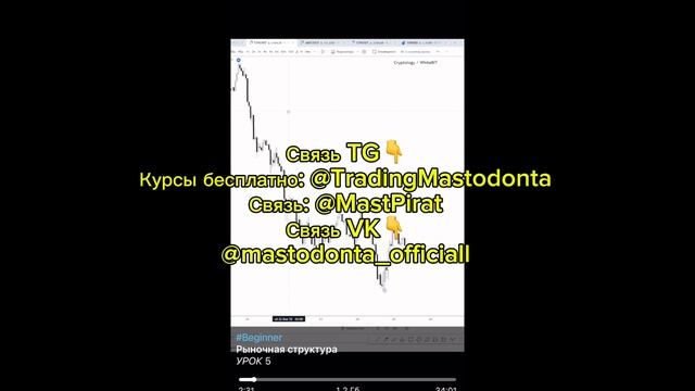 Cryptology 14.0 pro слив курса