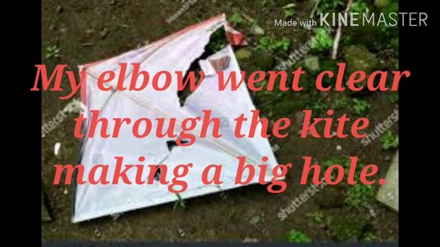 #OUR RUNAWAY KITE# CLASS- X, LESSON- 5, PART-2