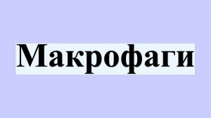 Макрофаги