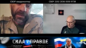 Мухи не ошибаются!