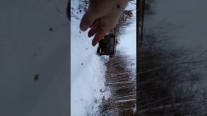 Газ 66 самосвал,самовытаскиватель.