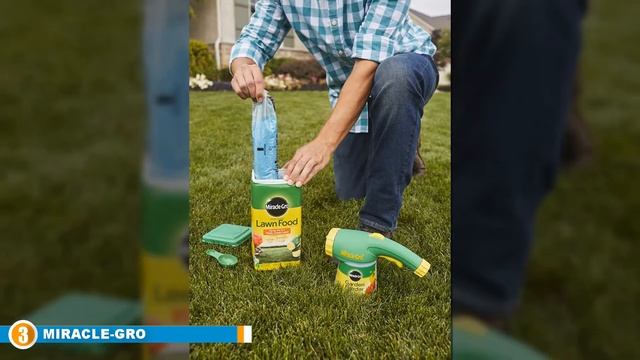 Best Lawn Fertilizer Reviews 2024 | Best Budget Lawn Fertilizers (Buying Guide) смотреть онлайн