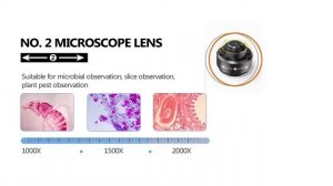 2000X HD LCD Digital Microscope @Model 315