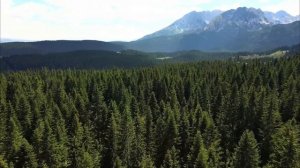 Дело было в казино 90Х . Шансон.