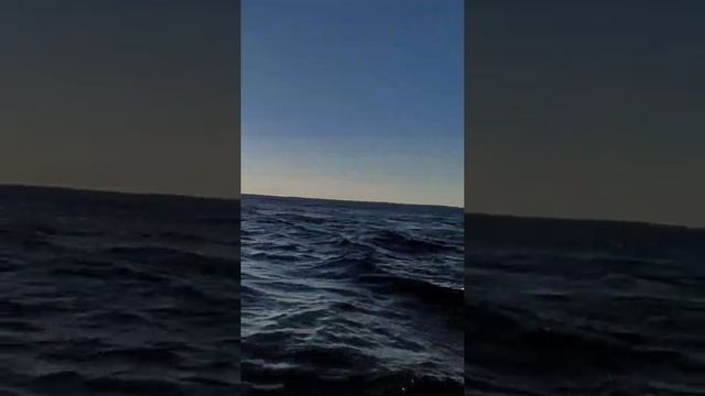 13 июня 2024 г.