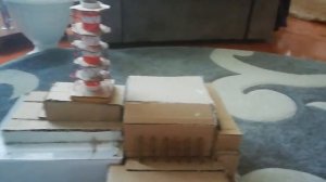 Макет чаэс.