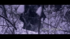 Cem Adrian - Sen Gel Diyorsun