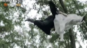 Невеста на одну ночь 1 сезон 23 серия