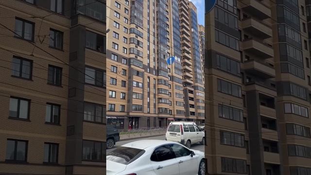 Стрижи на Кирова Дунайская NOVA-Дом Октябрьский район Новосибирск Сибирь 154