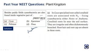 Past Year NEET questions-Plant Kingdom-6