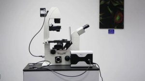 How to fit the CoolLED pE-800 to a Leica DMi8 microscope