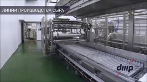 Линия производства сыра