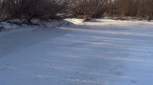 Прогулка в - 30 мороза. обзор протоки . Лпх Дом Велеса - жизнь за городом