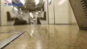 скрепки в вагоне метро / rttv /