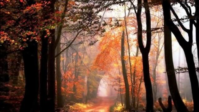 Negra Sombra versión Amancio Prada por ORMVM смотреть онлайн