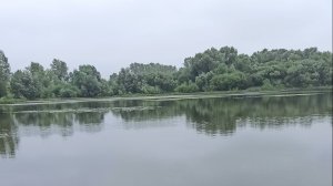 Я только за честную ловлю рыбы!!!