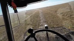 Клаас Мега 370. Заканчиваем уборку зерновых.