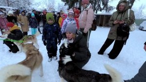 большая школьная экскурсия в питомник хаски / big school excursion to the husky kennel