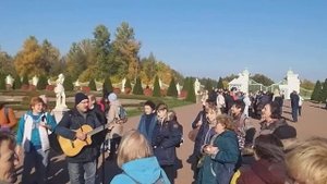 Пала ночная тень