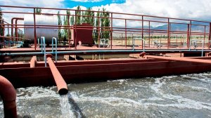 Обезвоживание флотошлама пищевого производства