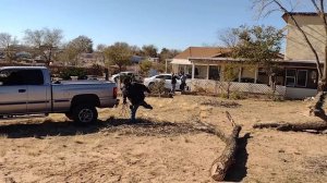 cutting down some trees for grandma