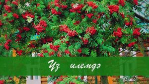 Үз илемдә. Гөлшат Зәйнәшева сүзләре, Сара Садыйкова көе. Жырнын сузлэре видео астында.