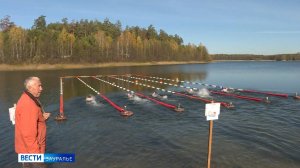 Открытый Кубок Урала по зимнему плаванию прошёл на Голубых озерах в Кургане