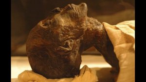 КАНИБАЛЫ СРЕДИ НАС! ВКУС ЧЕЛОВЕЧЕСКОЙ ПЛОТИ