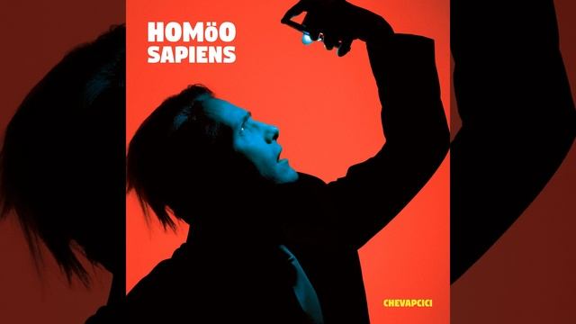 Schrille Vögel fliegen tief смотреть онлайн