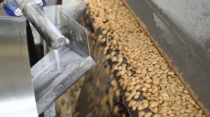 Производство арахисовой пасты